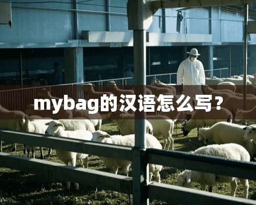 mybag的汉语怎么写？