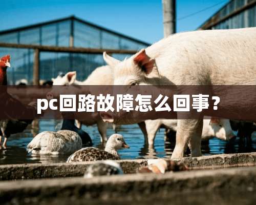 pc回路故障怎么回事？