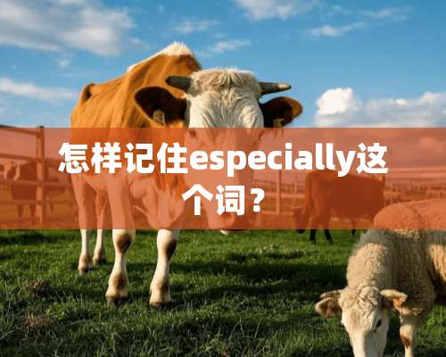 怎样记住especially这个词？