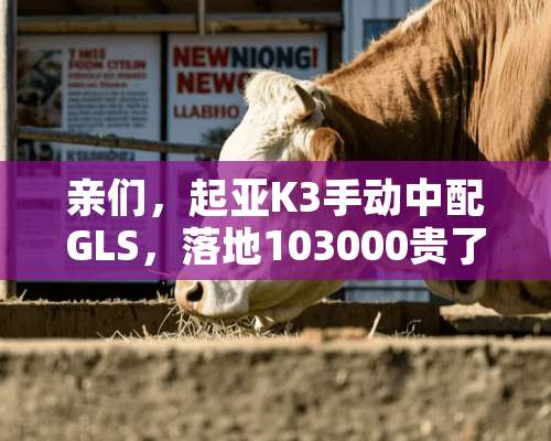 亲们，起亚K3手动中配GLS，落地103000贵了吗？