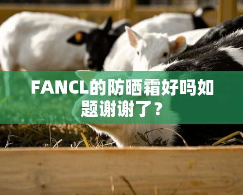 FANCL的防晒霜好吗如题谢谢了？