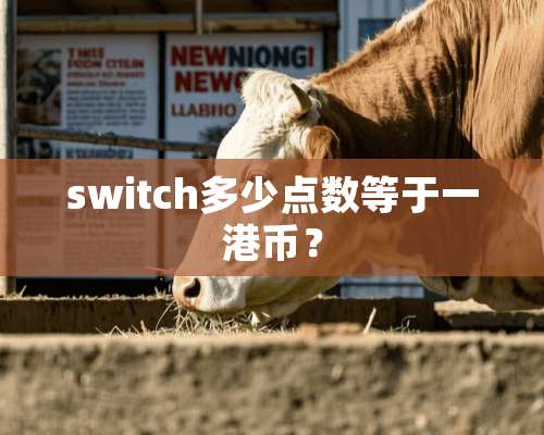 switch多少点数等于一港币？