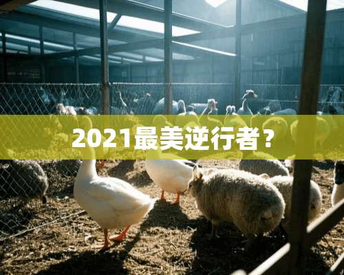 2021最美逆行者？