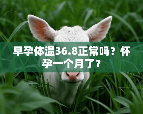 早孕体温36.8正常吗？怀孕一个月了？