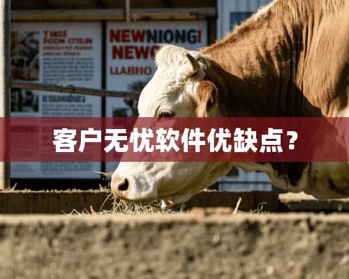 客户无忧软件优缺点？