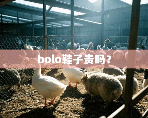 bolo鞋子贵吗？