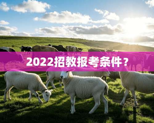 2022招教报考条件？