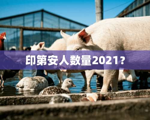 印第安人数量2021？