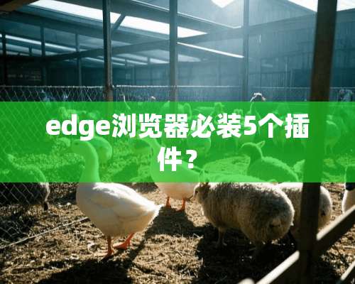 edge浏览器必装5个插件？