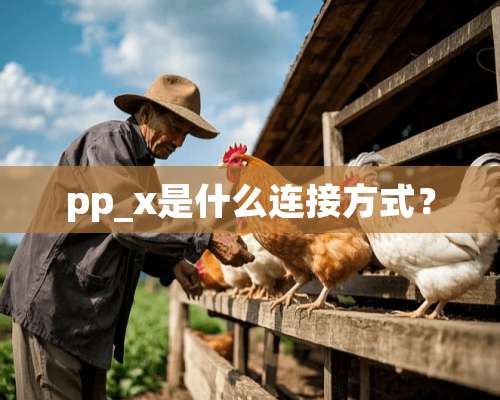 pp_x是什么连接方式？