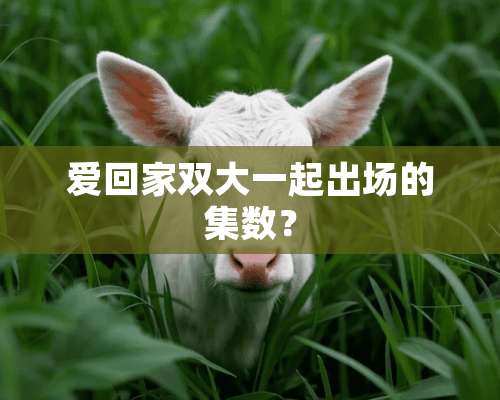 爱回家双大一起出场的集数？