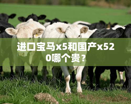 进口宝马x5和国产x520哪个贵？