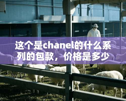 这个是chanel的什么系列的包款，价格是多少？