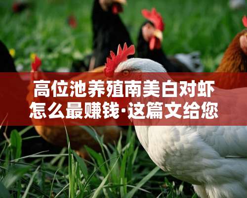 高位池养殖南美白对虾怎么最赚钱·这篇文给您最佳答案