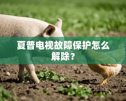 夏普电视故障保护怎么解除？