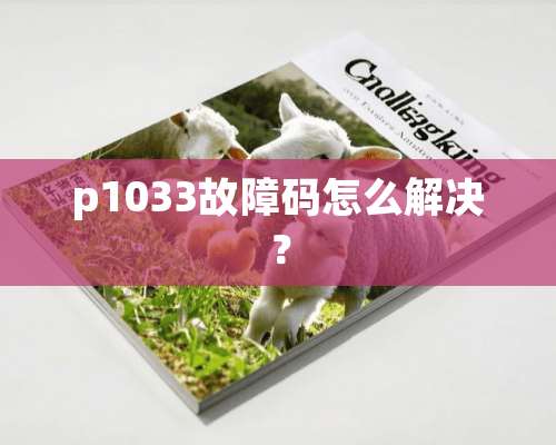 p1033故障码怎么解决？