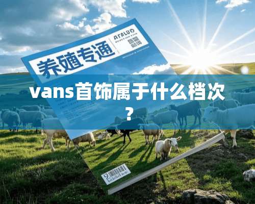 vans首饰属于什么档次？