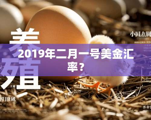 2019年二月一号美金汇率？