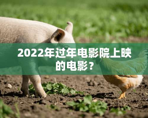 2022年过年电影院上映的电影？