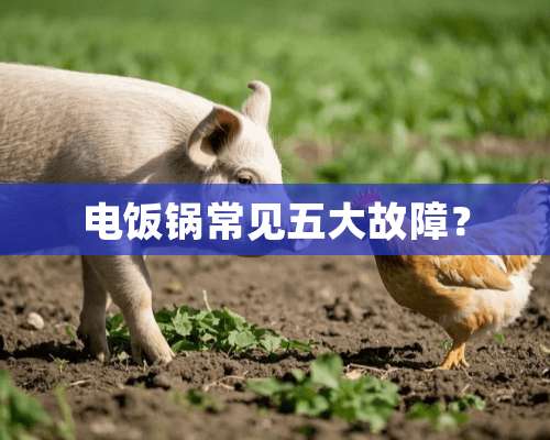 电饭锅常见五大故障？