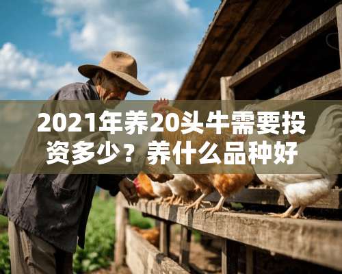 2021年养20头牛需要投资多少？养什么品种好？