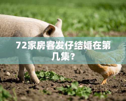 72家房客发仔结婚在第几集？