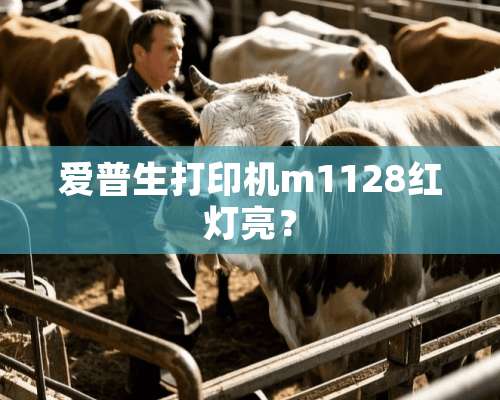 爱普生打印机m1128红灯亮？