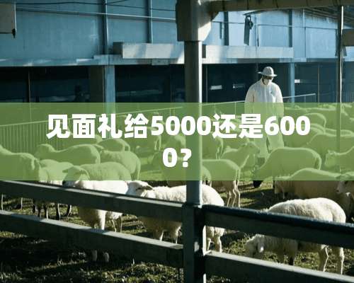 见面礼给5000还是6000？