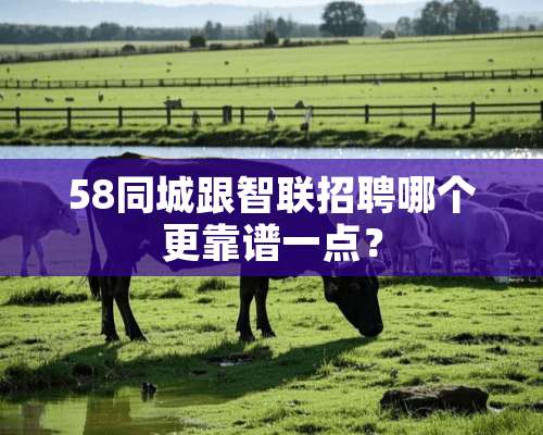 58同城跟智联招聘哪个更靠谱一点？