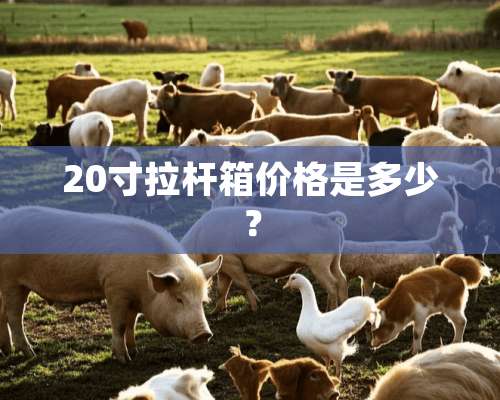 20寸拉杆箱价格是多少？