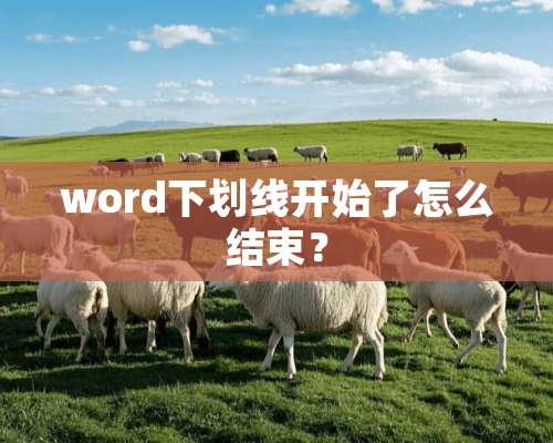 word下划线开始了怎么结束？