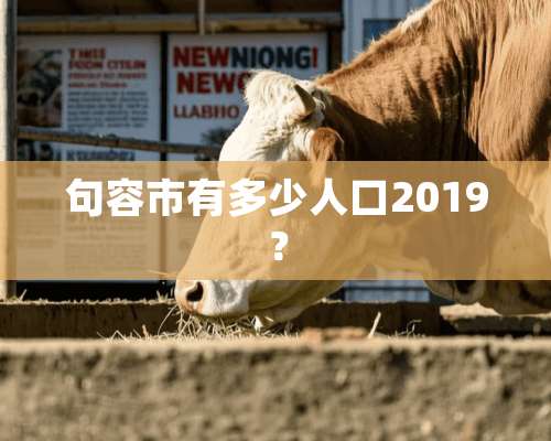 句容市有多少人口2019？