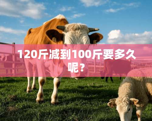 120斤减到100斤要多久呢？