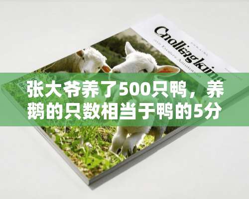 张大爷养了500只鸭，养鹅的只数相当于鸭的5分之2，养鹅多少只？