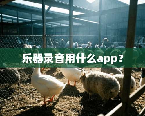 乐器录音用什么app？