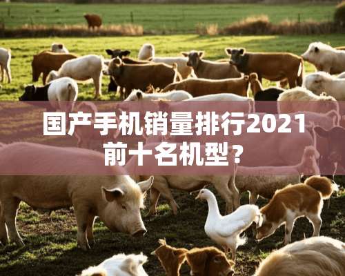 国产手机销量排行2021前十名机型？