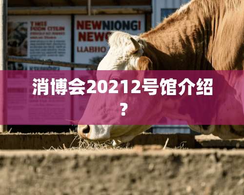 消博会20212号馆介绍？