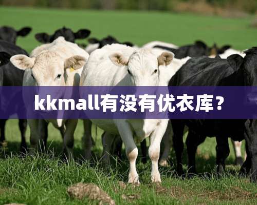 kkmall有没有优衣库？