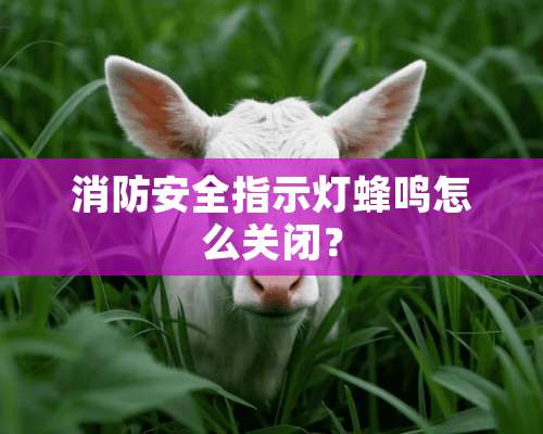 消防安全指示灯蜂鸣怎么关闭？