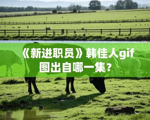 《新进职员》韩佳人gif图出自哪一集？