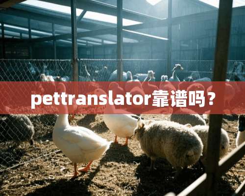 pettranslator靠谱吗？