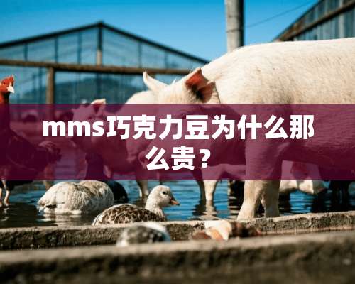 mms巧克力豆为什么那么贵？