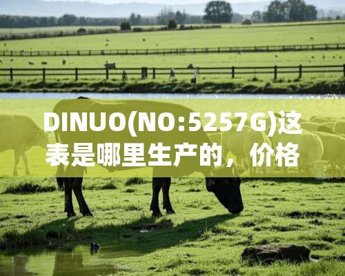 DINUO(NO:5257G)这表是哪里生产的，价格是多少？谢谢？