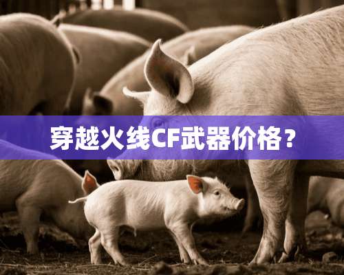 穿越火线CF**价格？