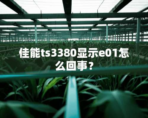 佳能ts3380显示e01怎么回事？