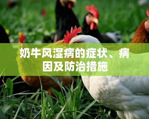 奶牛风湿病的症状、病因及防治措施