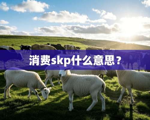 消费skp什么意思？