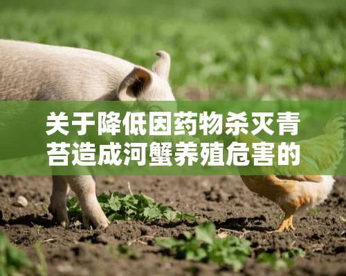 关于降低因药物杀灭青苔造成河蟹养殖危害的若干建议