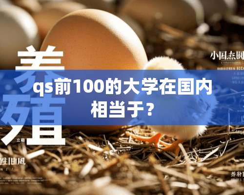 qs前100的大学在国内相当于？