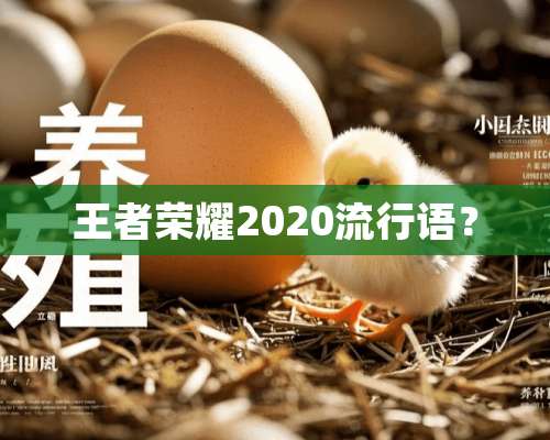 王者荣耀2020流行语？